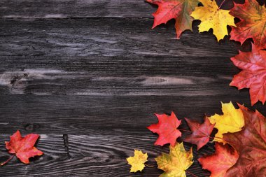 Sonbahar akçaağaç yapraklı klasik arkaplan