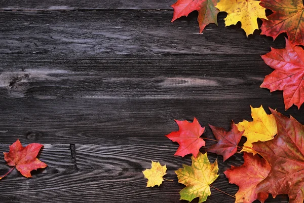 Yellow, red and orange maple leaves on a dark wooden background. — Stock Photo, Image