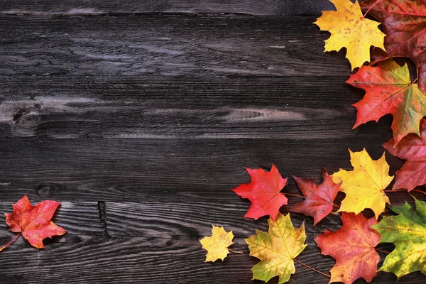 Herfst achtergrond in vintage stijl voor beschadigde plankjes met gekleurde maple verlaat — Stockfoto