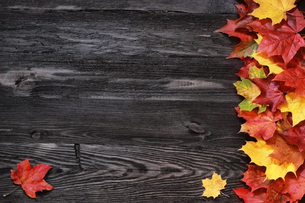 Autumnal colored leaves on wooden background — Stock Photo, Image