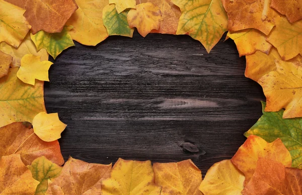 Frame with autumn leaves of Liriodendron on a wooden background