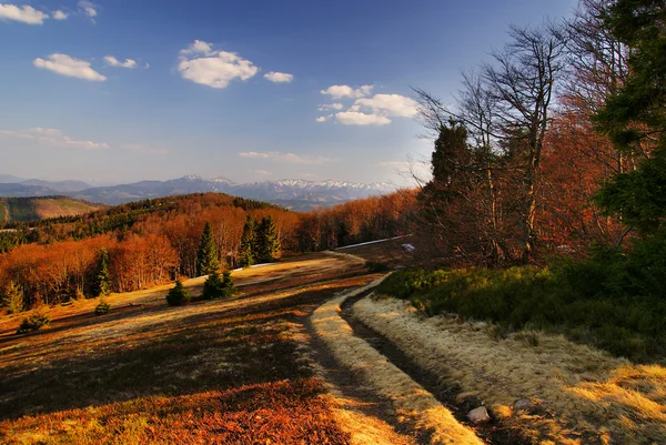 Stezka k velkým Racza, Zwardo?, Beskid — Stock fotografie