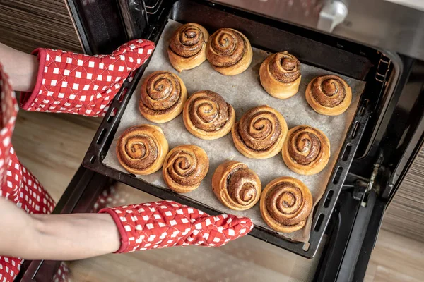 Female Hands Taking Out Fresh Fragrant Cinnamon Rolls Hot Oven — Stock Photo, Image