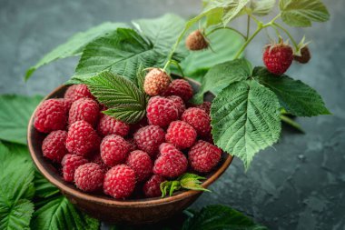 Taze sulu ve iştah açıcı ahududular siyah bir masada ve yeşil yapraklarda..