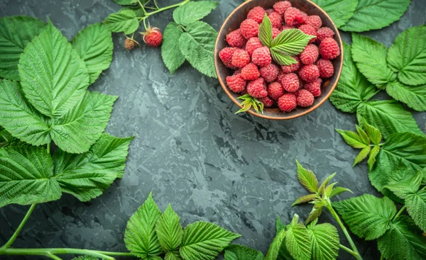 Appetizing Juicy Ripe Raspberries Bowl Surrounded Green Raspberry Leaves Black — Stock Photo, Image