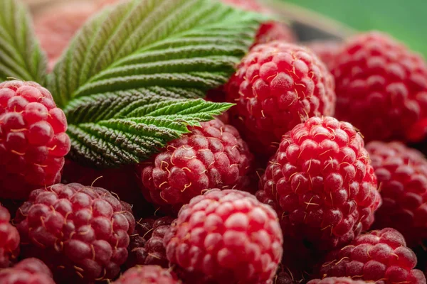 Fresh Ripe Juicy Appetizing Raspberries Green Leaves Closeup — Stock Photo, Image