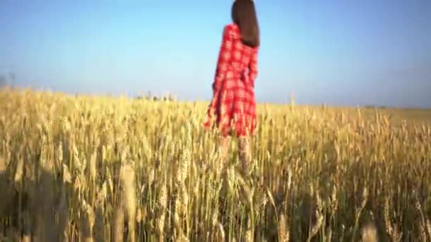 Jovem com um vestido vermelho fica em um campo de trigo com as costas, abra os braços para os lados, desfrutando da liberdade. Tiro de baixo para cima — Vídeo de Stock