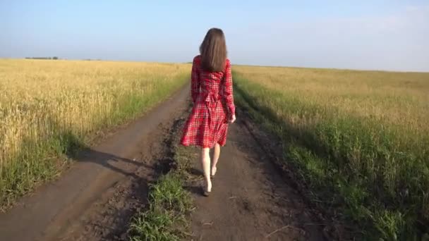 Mujer joven con un vestido rojo está caminando a lo largo de la carretera a lo largo de un campo de trigo con espiguillas doradas maduras, luego comienza a correr. Concepto de libertad — Vídeos de Stock