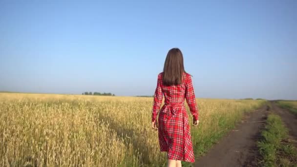 Eine Frau in rotem Kleid geht langsam auf einer leeren Straße entlang eines Weizenfeldes mit reifen goldenen Stacheln. Frühherbst, Freiheit, Ruhe und Befriedung — Stockvideo