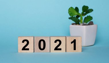 Mavi arka planda, bir saksının içindeki bitkinin yanındaki tahta küplerde, 2021 yazılıdır.