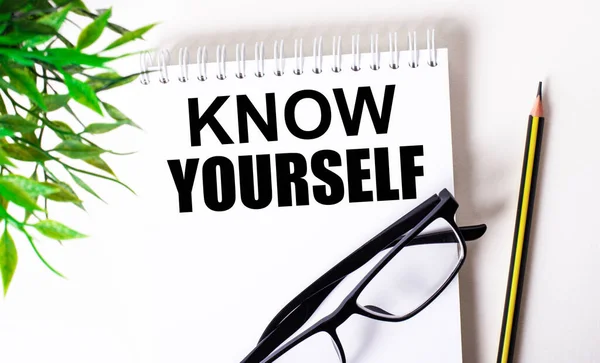 KNOW YOURSELF is written in a white notebook next to a pencil, black-framed glasses and a green plant.