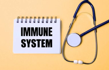 Bej bir arka plan, steteskop ve üzerinde IMMUNE SİSTEM yazan beyaz bir not defteri. Tıbbi konsept
