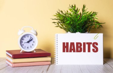 HABITS, yeşil bir bitkinin ve renkli günlüklerin üzerinde duran beyaz alarmlı saatin yanındaki bir deftere yazılmıştır..