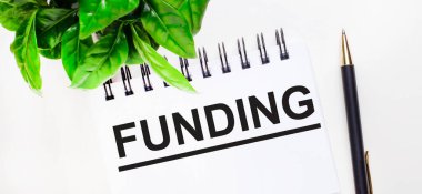 Beyaz bir arka planda yeşil bir bitki, beyaz bir defter ve bir kalem.