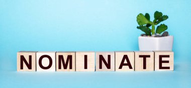 NOMINATE kelimesi, açık mavi arkaplanda bir saksıda, bir çiçeğin yanındaki tahta küplere yazılmıştır.
