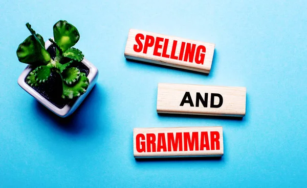 Spelling Και Γραμματεια Είναι Γραμμένο Ξύλινα Μπλοκ Ένα Γαλάζιο Φόντο — Φωτογραφία Αρχείου