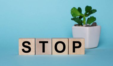STOP kelimesi, açık mavi arkaplanda bir saksıda, bir çiçeğin yanındaki tahta küplere yazılır.