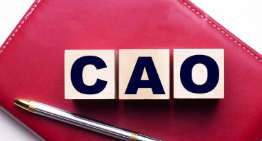 CAO muhasebe şefi. Ağılın yanındaki bordo bir defterin üzerinde duran tahta küplerden oluşmuş. İş konsepti