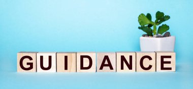 Kılavuz kelimesi, açık mavi arka planda bir saksıda, bir çiçeğin yanındaki tahta küplere yazılmıştır.