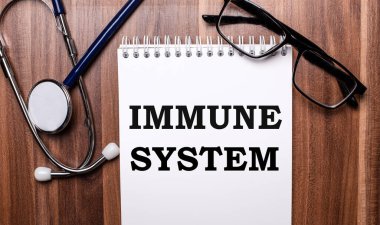 IMMUNE SİSTEM kelimeleri, steteskop ve siyah çerçeveli gözlüklerin yanındaki tahta bir arka planda beyaz kağıda yazılmıştır. Tıbbi konsept