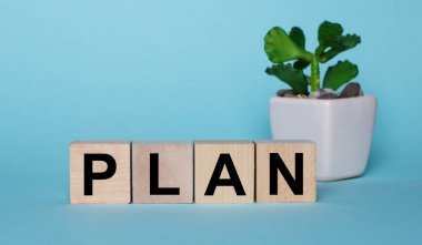 Mavi arka planda, bir saksının içindeki bir bitkinin yanındaki tahta küplerde