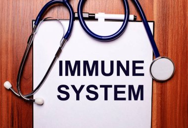 Ahşap bir arka planda steteskop ve üzerinde IMMUNE Sistemleri yazan bir kağıt parçası bulunur. Düz yatıyordu. Tıbbi konsept