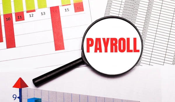 Masaüstünde, grafikler, raporlar, içinde PAYROLL yazan bir büyüteç. İş konsepti