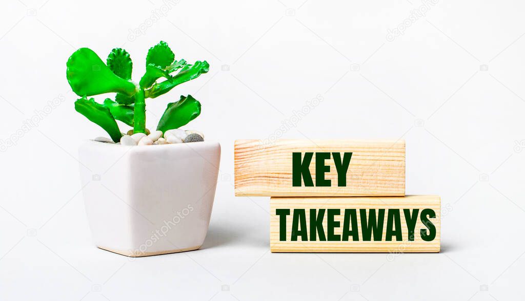 On a light background, a plant in a pot and two wooden blocks with the text KEY TAKEAWAYS