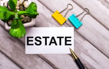 Ahşap bir arka planda, beyaz bir kart, Arazi, sarı ve yeşil ataçlar ve saksıda bir bitki. Yukarıdan görüntüle