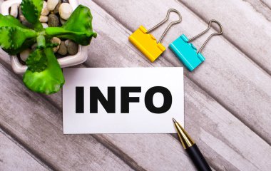 Ahşap bir arka planda INFO yazılı beyaz bir kart, sarı ve yeşil ataçlar ve saksıda bir bitki. Yukarıdan görüntüle