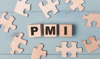 Blank puzzles and wooden cubes with the PMI Project Management Institute lie on a light blue background.