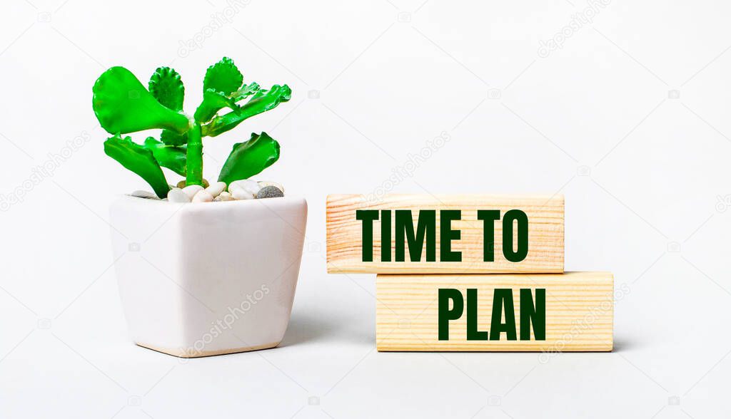 On a light background, a plant in a pot and two wooden blocks with the text TIME TO PLAN