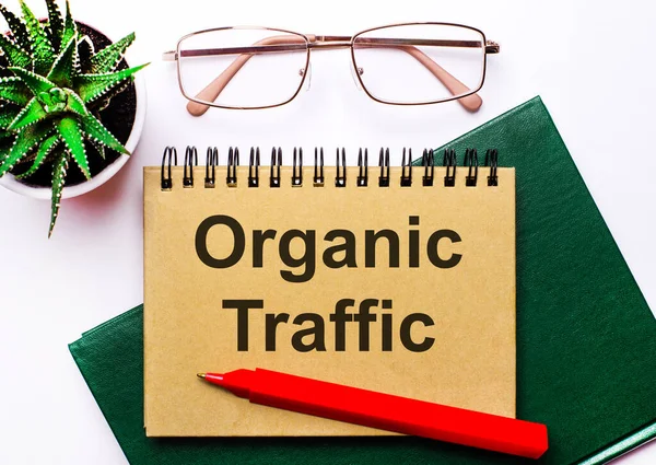 Hafif arkaplanda altın çerçeveli bardaklar, saksıda bir çiçek, yeşil bir defter, kırmızı bir kalem ve üzerinde ORGANIC TRAFFIC yazan kahverengi bir defter. İş konsepti