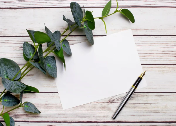 Een Lichte Houten Tafel Staat Een Eucalyptustak Een Vulpen Een — Stockfoto