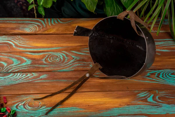 Ahşap arka planda bitkilerle burun korumalı eski metal rekonstrüksiyon kaskı