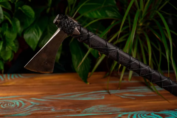 Bitkilerin arka planında siyah bir bacası olan demir viking baltası