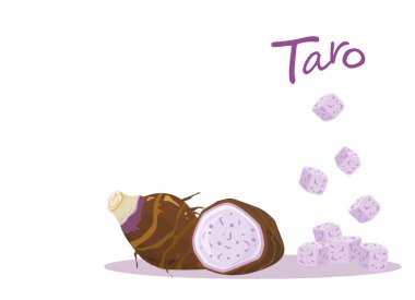 Half and slice with cubes of taro root isolated on white background. Vector illustration. clipart