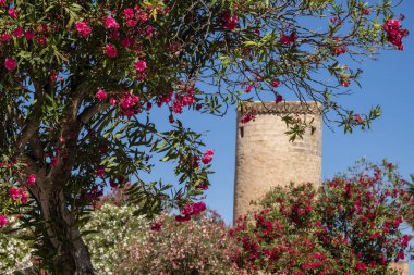 Moli den Perdiu, Llucmajor, Mallorca, Balearic Adaları, İspanya