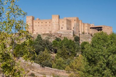 Corti Tap biberi, çiftlik Sa Teulera, Manacor, Mallorca, Balear Adaları, İspanya