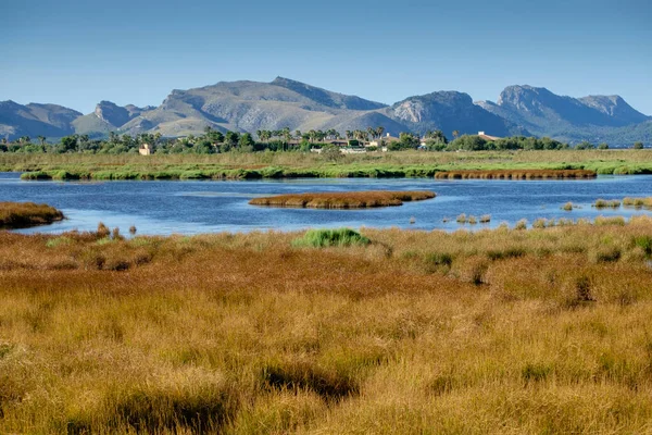 Reserva natural de l 'Albufereta, bahia de Pollensa, Mallorca, balear adaları, İspanya