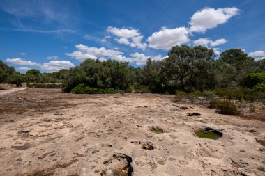 Can Garra Seca, rezervuar ve hindistan cevizi, Cami de sa Torre, Llucmajor belediyesi, Mallorca, Balearic Adaları, İspanya