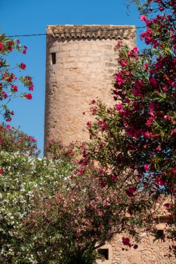 Moli d 'en Perdiu, Llucmajor, Mallorca, Balearic Adaları, İspanya