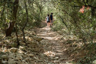 Puig de Cura 'da yürüyüş, Algaida, Mallorca, Balearic Adaları, İspanya