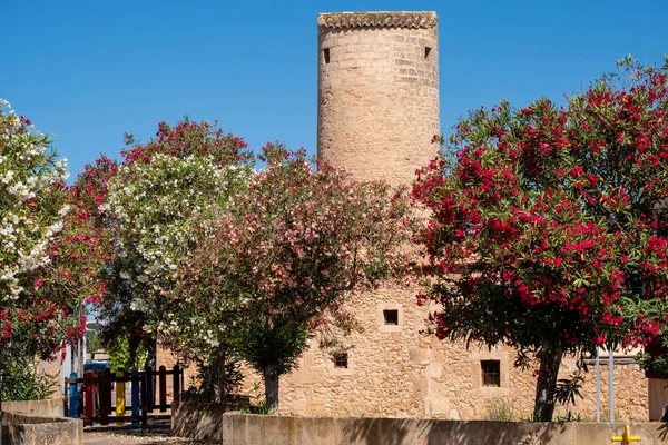 Moli d 'en Perdiu, Llucmajor, Mallorca, Balearic Adaları, İspanya