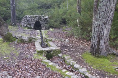 İlkbaharda Cam de la coma de Binifaldo, Escorca, Mallorca, Balearic Adaları, İspanya