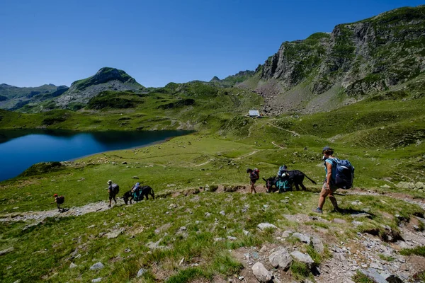 Dağ yürüyüşçüsü Gentau, Ayous göl turu, Pireneler Ulusal Parkı, Pireneler Atlantikleri, Fransa