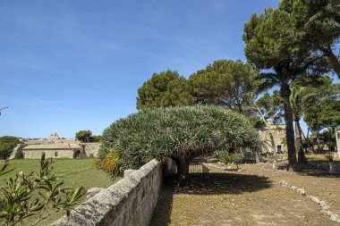 Cala Boquer, Pollensa, Mallorca