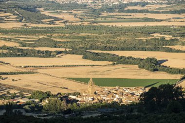Loarre, Huesca, İspanya yakınlarındaki ekin tarlaları