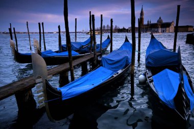Perros Husmeando frante a una antigua casa otomana de madera. Mudurnu.Montes Kroglu.Anadolu batısı. Turquia. Asya.