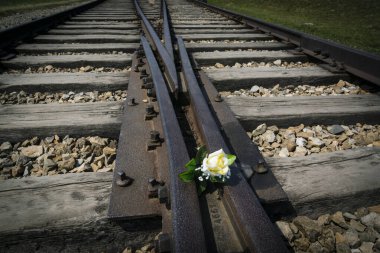 Flores en las vias de tren, campo de concentracion de Auschwitz-Birkenau, museo estatal, Oswiecim, Polonia, Doğu Avrupa